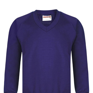 Barns Green Primary V Neck Sweatshirt