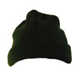 Leechpool Primary Green Ski Hat