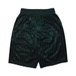 Manor Green Primary Green PE Shorts