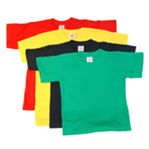 Northolmes Junior School PE Tshirts