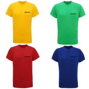 Barns Green Primary School Cool PE T-shirt