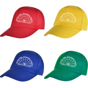 Holbrook Baseball Hats