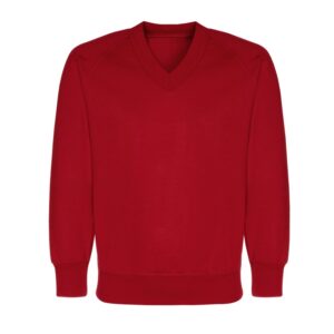 V Neck Sweatshirt with Logo