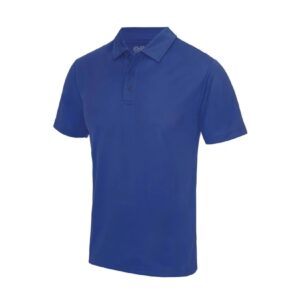Ashurst Wood Primary Cool Polo *Compulsory*